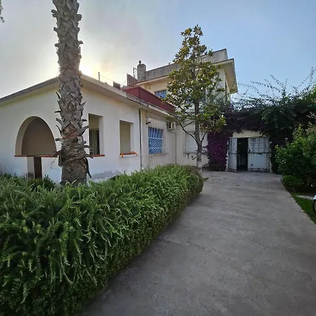 Daire Aule *