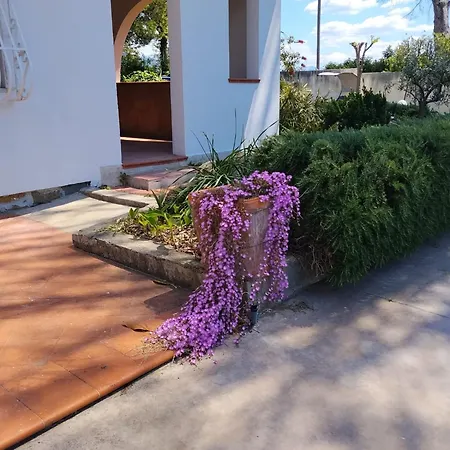 Apartament Aule
